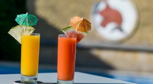 The African Tulip Hotel image 15