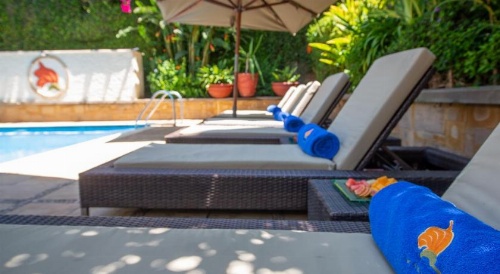 The African Tulip Hotel image 26