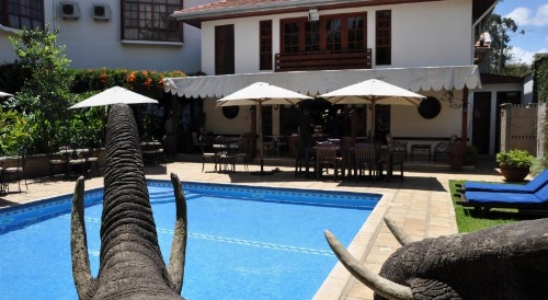 The African Tulip Hotel image 29