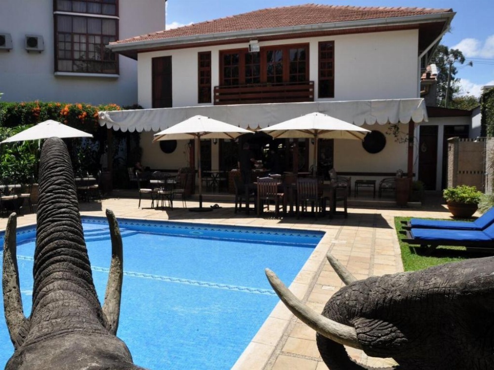 The African Tulip Hotel Image 44
