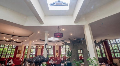 The African Tulip Hotel image 9